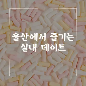 울산에서 즐기는 실내 데이트, 이곳만은 꼭 가보세요