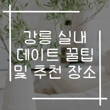 강릉 실내 데이트 꿀팁 및 추천 장소